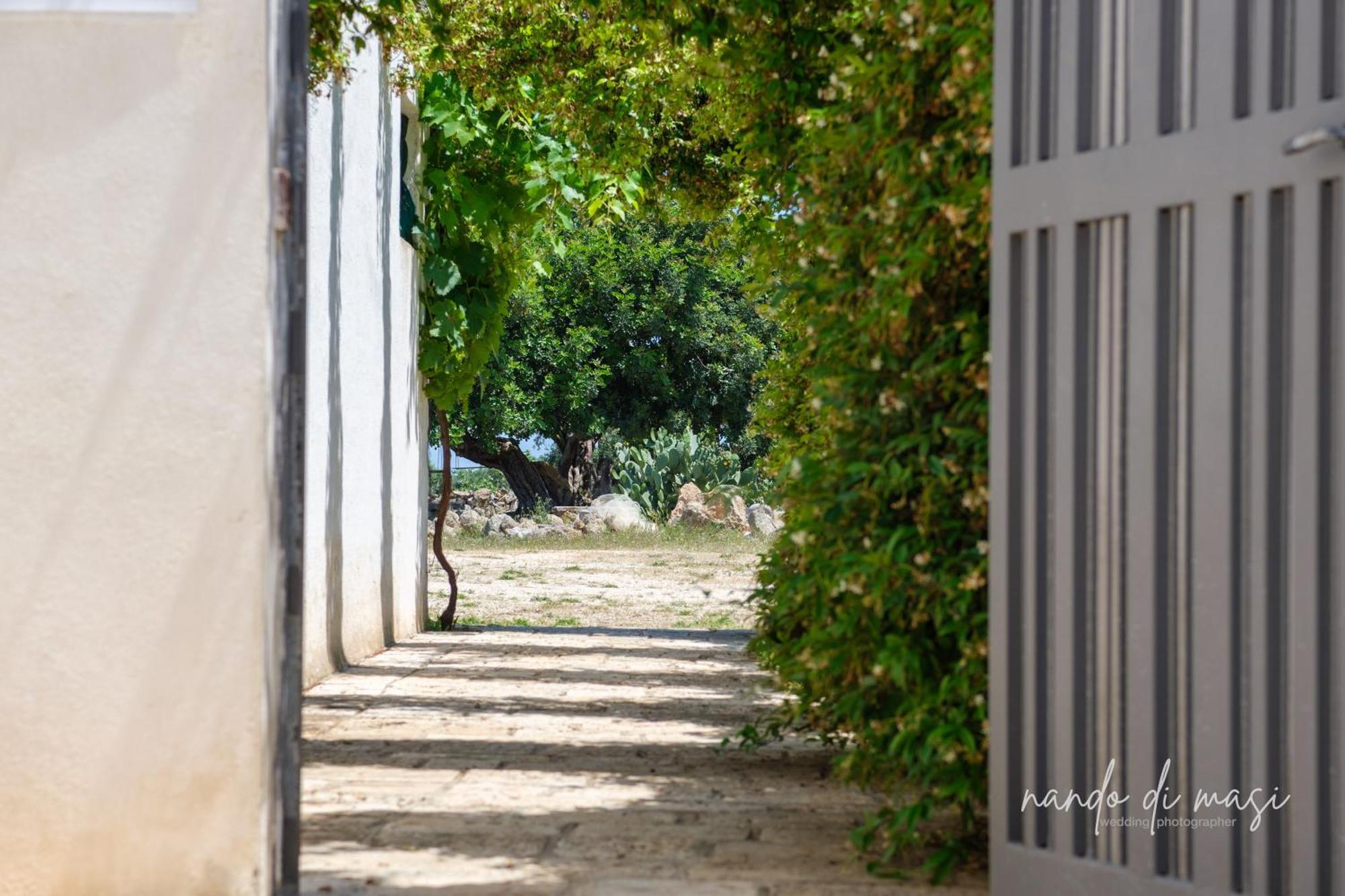 Masseria Giangrande - Rooms And Apartment Polignano a Mare Kültér fotó