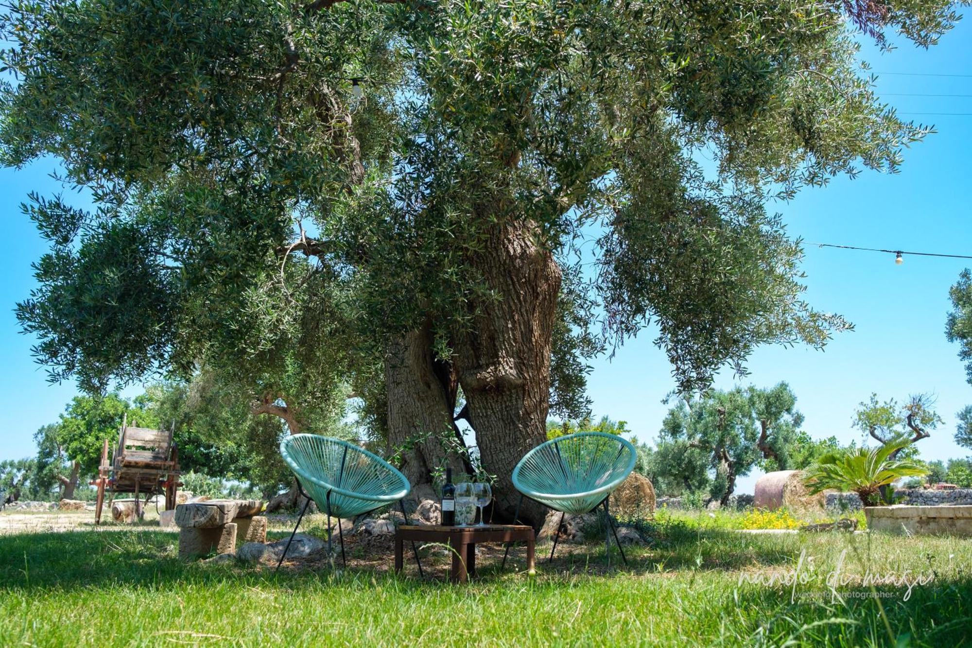Masseria Giangrande - Rooms And Apartment Polignano a Mare Kültér fotó